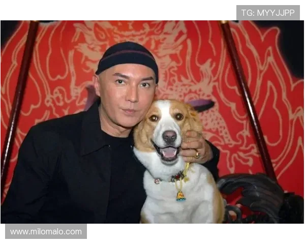 尊龙用现金一下可靠送38元优惠活动最新消息，如何安全高效领取尊龙现金红包攻略