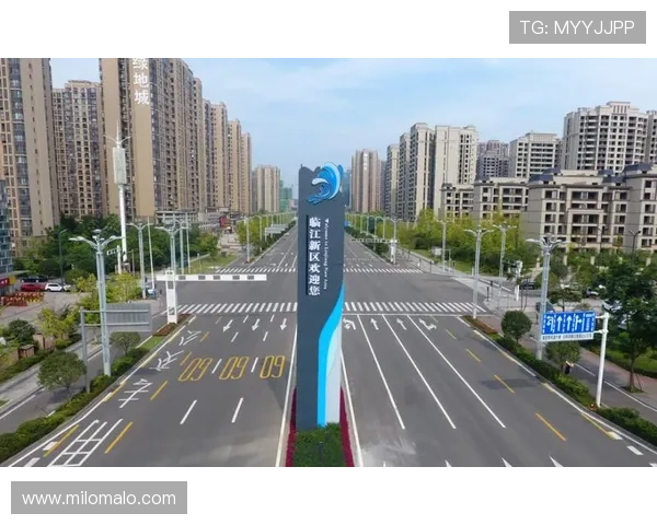 z6尊龙集团未来五年的战略规划与发展蓝图