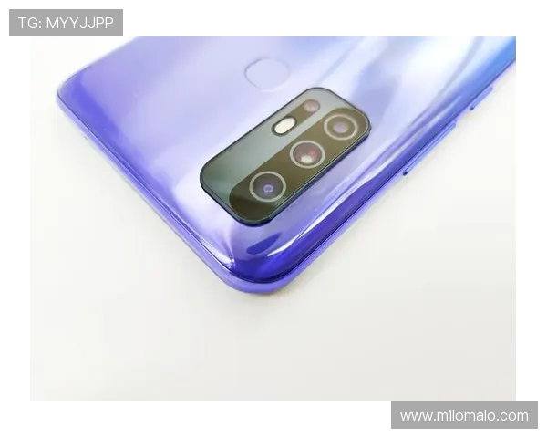 尊龙z6中国官网活动时间安排与奖励规则，抓住每一次参与的机会赢取丰厚奖励