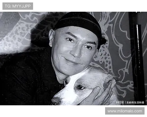 尊龙人生就是博一下：从游戏角度理解人生的风险与机遇管理技巧